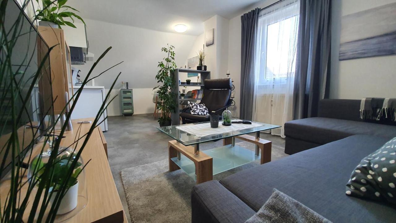 Ferienwohnung Elsa Hungen Екстериор снимка